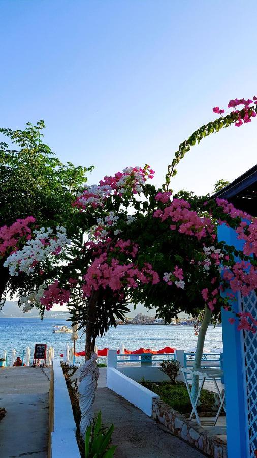 Haraki Mare Studios Beach Front Ngoại thất bức ảnh