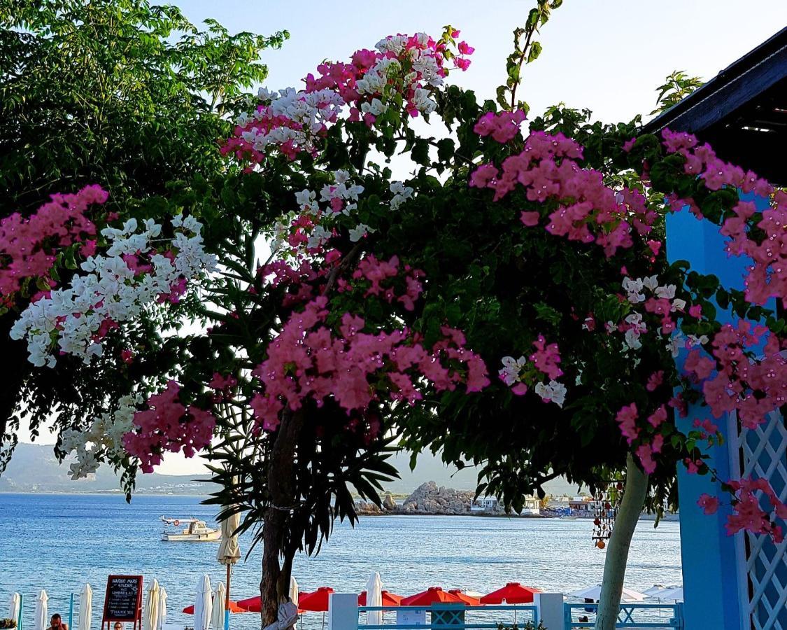 Haraki Mare Studios Beach Front Ngoại thất bức ảnh